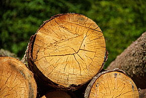 Filière de construction bois et biosourcés