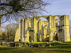 Parc de l'Abbaye du Lys, Dammarie-lès-Lys - Agrandir l'image (fenêtre modale)