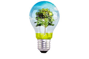light bulb with tree inside