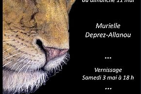 Agrandir l'image
